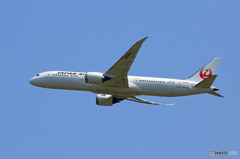 「すかい」 JAL 787-9 JA864J 出発