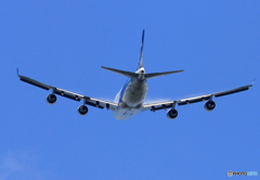 「青空」 NCA 747-400 JA05KZ 離陸です
