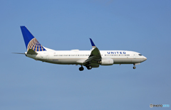 「すかい」 United 737-800 N33294 シミター到着しました