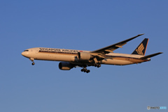 「青色が好き」 Singapore 777-312 Landing