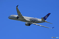「ぶるー」 Vietnam SKY A350-941Takeoff 