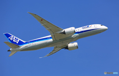 「青が大好き」 ANA 787-8 JA805A 出発です