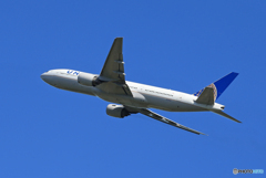 ☆「ブルー」UNITED 777-222 N213UA  Takeoff 