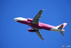 「ブルー」peach A320-214 JA805P 飛び立ちです