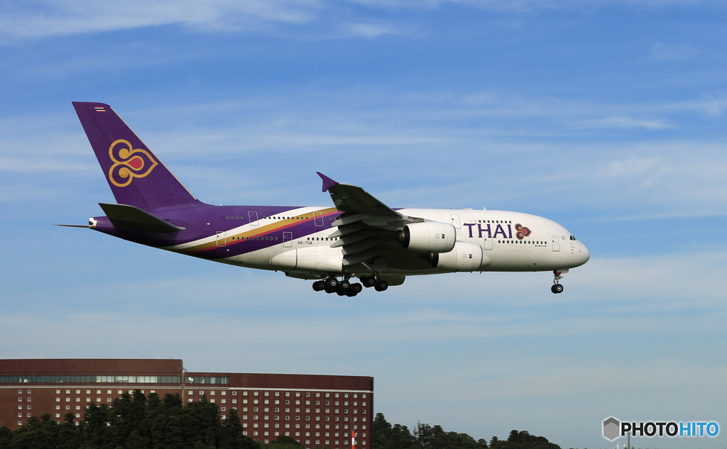 「青が大好き」 THAI A380-841 HS-TUA