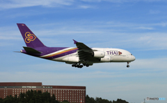 「青が大好き」 THAI A380-841 HS-TUA