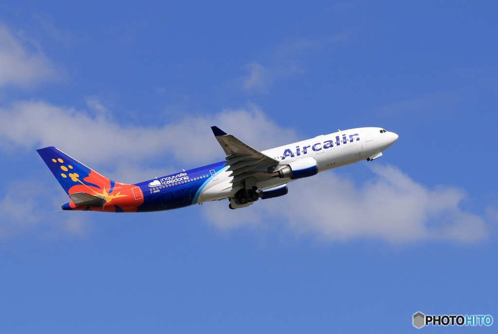 「青空」成田空港.さくらの丘公園で Air Calin A330-202