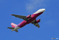 「スカイ」 Peach A320-214 JA802A 出発です
