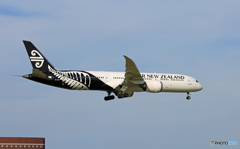 「青空」 Air NZ' 787-9 ZK-NZI 着陸
