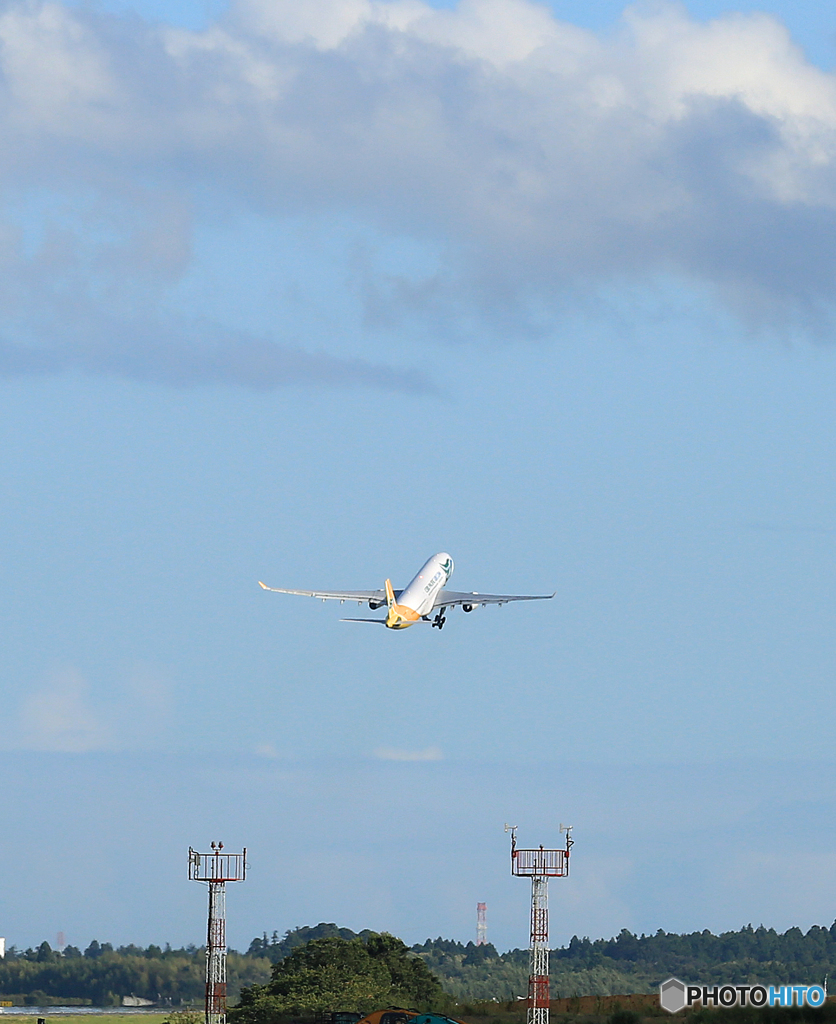 「青色が好き」 セブパシフィック航空　エアバス飛ぶ