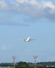 「青色が好き」 セブパシフィック航空　エアバス飛ぶ