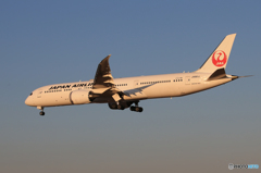 「空色」 JAL 787-9 JA861J 到着です