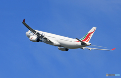 「ブルー」Srirankan A330-343 4R-ALM 飛び立ちです