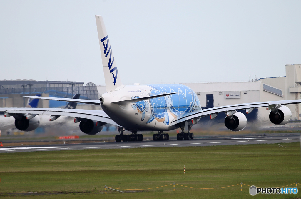 「そらー」 ANA A380-841 ウミガメ[Flying Honu]出発　