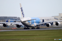 「そらー」 ANA A380-841 ウミガメ[Flying Honu]出発　