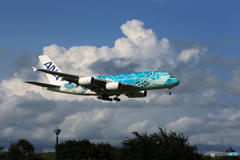 「Blue」ANA Flying Honu A380-841 到着