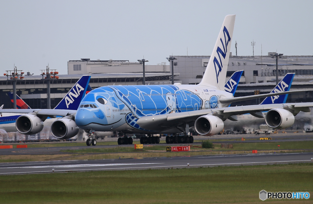 「晴れ」 ANA A380-841 JA381A Takeoff 