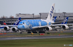 「晴れ」 ANA A380-841 JA381A Takeoff 