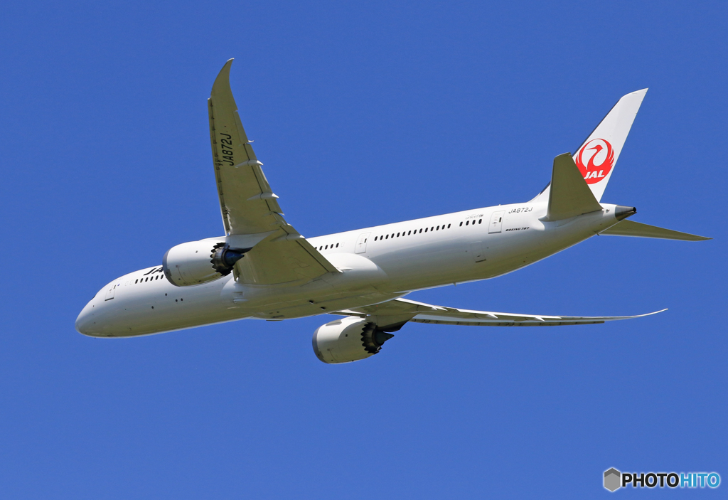 「ぶるー」 JAL 787-9 JA872J 出発です