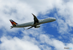 「すかい」 Philippines A330 RP-C9902 飛ぶ