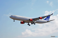 「令和」 SAS A340-313 OY-KBC 記念