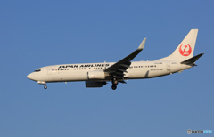 「SKY」 JAL 737-800 JA321J Landing