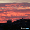 「良い空～」　輝く空らぁ〜