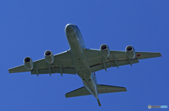 ✈　Kawasaki P-1　哨戒機　✈