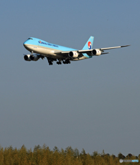 「Blue」 KOREAN 747-8 HL7609 着陸します