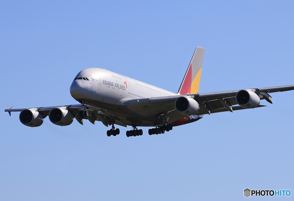 「蒼空」ASIANA A380-841 HL7626  Landing