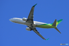 「すかい」春秋737-800 JA02GR Takeoff