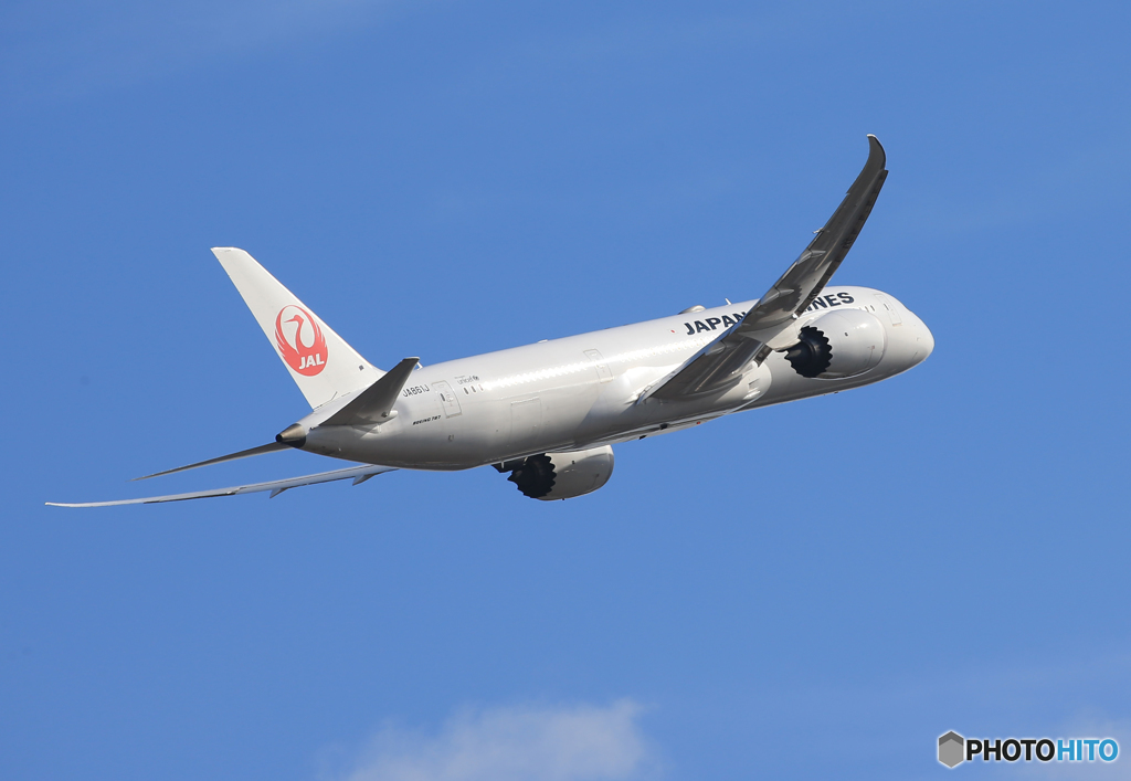 「良い天気」 JAL 787-9 JA861J 離陸