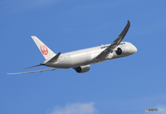 「良い天気」 JAL 787-9 JA861J 離陸