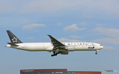 「青色」 ANA STAR 777-381 JA781A Landing