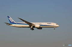 「空色」 ANA 787-9 JA837A 到着です