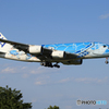 「青が好き」Flying Honu A380-841 Landingですよ