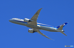 「蒼空」 ANA 787-9 JA888A 飛ぶ