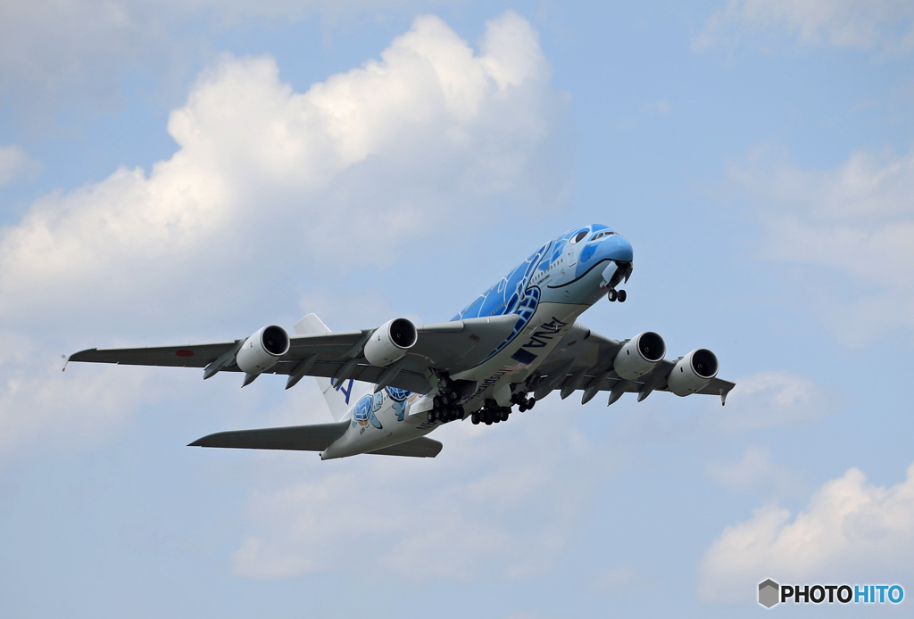 「そらー」Flying Honu A380-841 ２５０名様行ってらっしゃい?