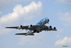 「そらー」Flying Honu A380-841 ２５０名様行ってらっしゃい?