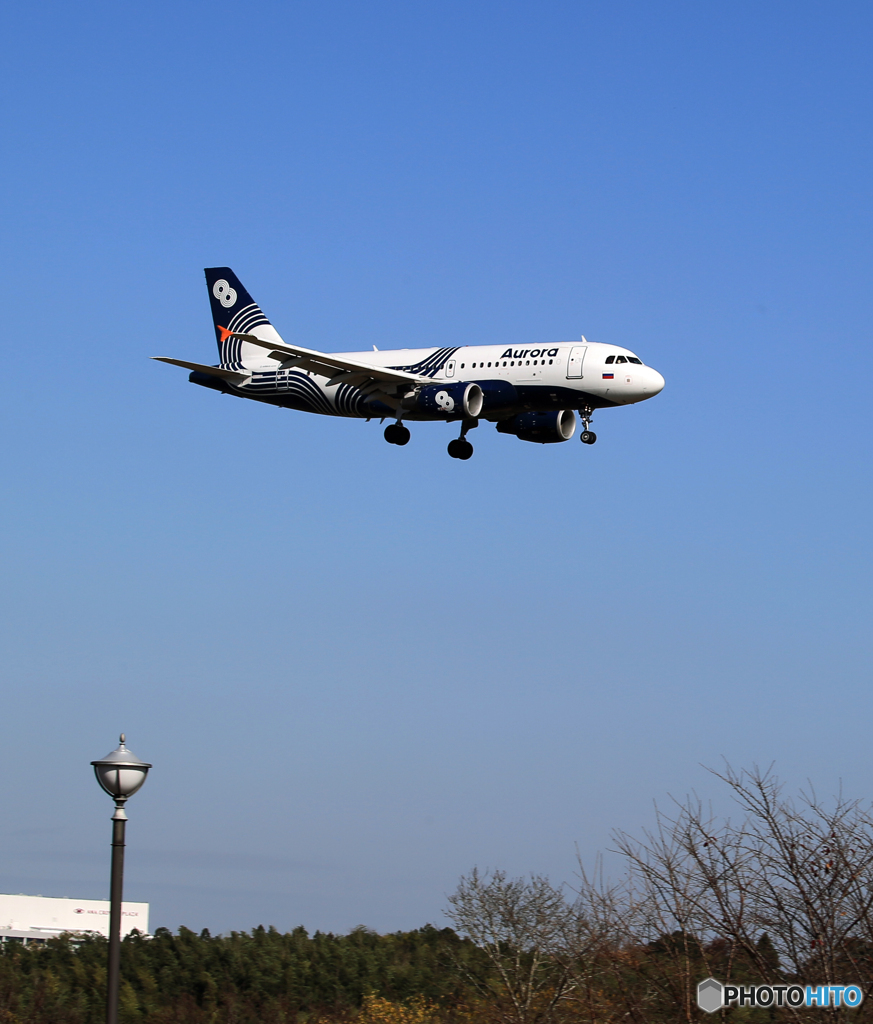 「群青」オーロラ航空　A319-111  到着です