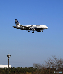「群青」オーロラ航空　A319-111  到着です