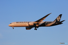 「蒼空」Air NZ' 787-9 ZK-NZC  到着です☀