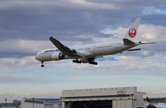 「空色」JAL 777 JA733J　着地前です
