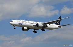 ☀「あおぞら」 ANA STAR 777-381 JA731A