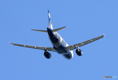 「群青」 Aurola A319-111 VP-BUN Takeoff