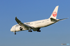 「すかい」 JAL 787-8 JA827J 来た～