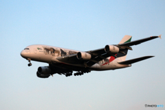 「SKY」動物愛護機エミレーツA380 A6-EOM  Landing