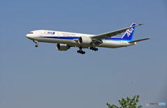 「青い空」が一番 ANA 767-381 JA779A 来た～