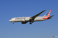  「晴れ」 American 787-8 N812AA 着地前