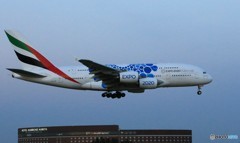 「ブルー」 エミレーツ特別塗装機Expo青A380 到着です